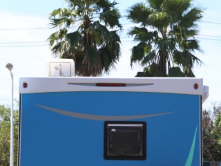 WLH_2339