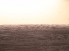 WLH_0549