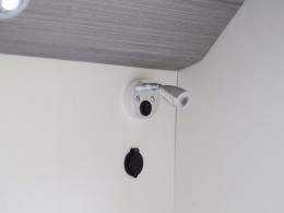 WLH_7423