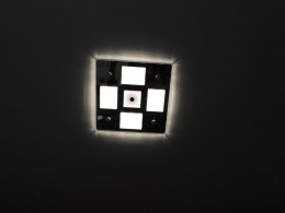 WLH_2172