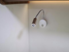 WLH_2734