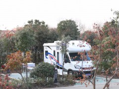 20200303213122876528