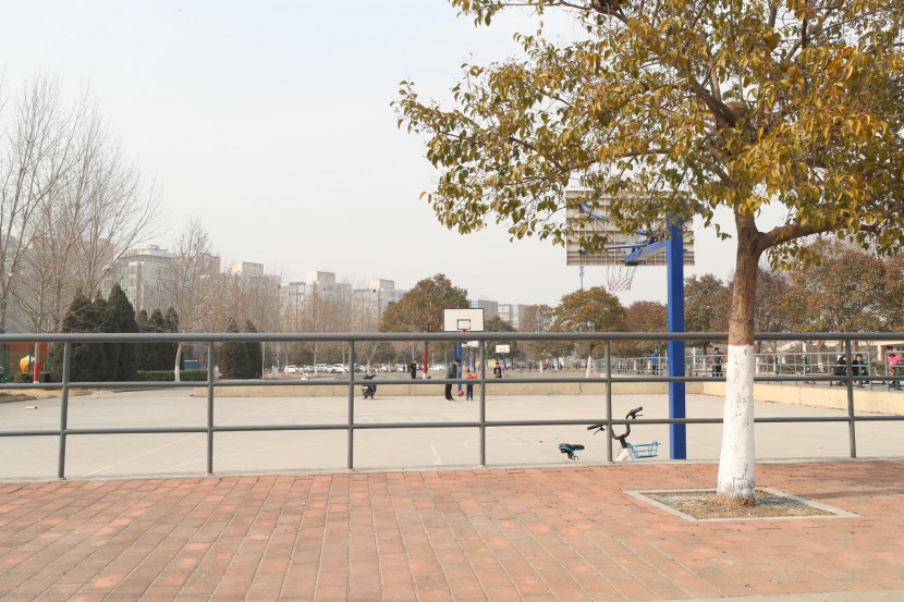 3.31郑州房车展场地河南省体育中心 WLH_3528