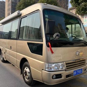 晶马 B型罗莎