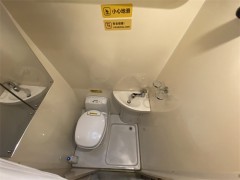 上汽大通 RV80