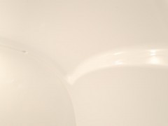 WLH_2877