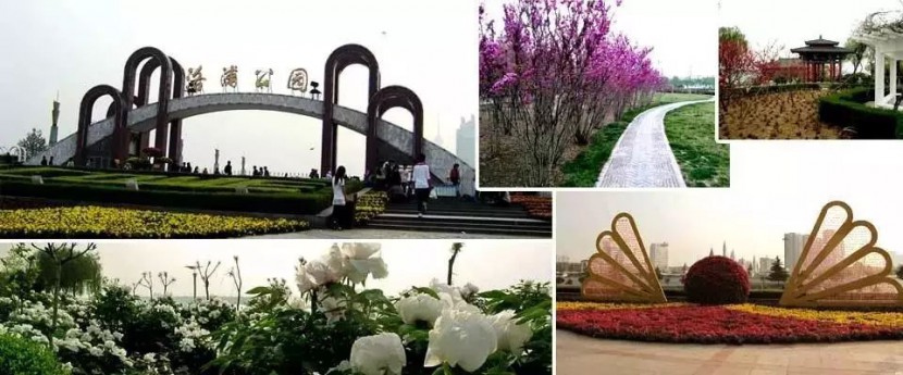 我叫洛阳，这是我2019年最新简历，请多关照！
