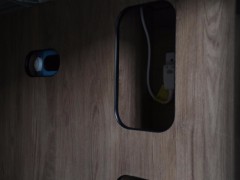 WLH_2153
