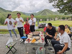 吉利 吉利增程式新能源